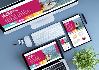 homepage entwicklung
