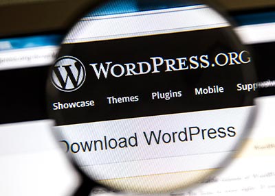 homepage wordpress webdesign